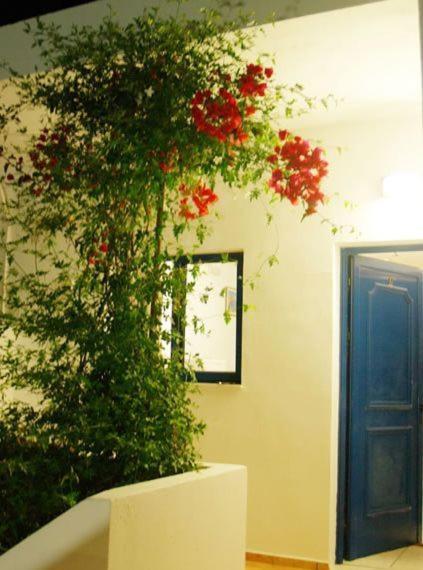 Fragokastello Star Apartment Frangocastelo Ngoại thất bức ảnh